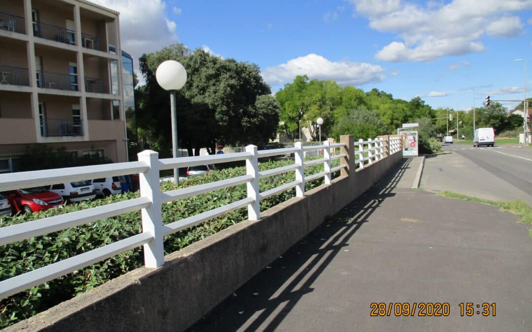Taille de haies « La Cardaline »