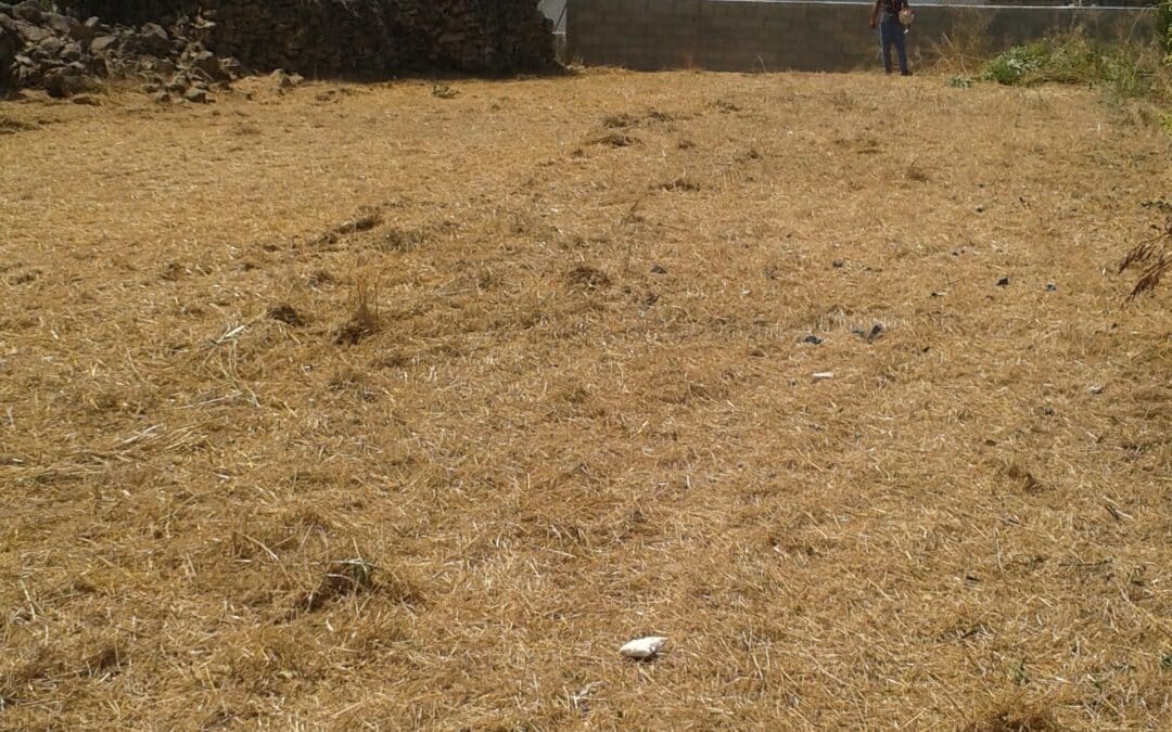 Débroussaillage chez un particulier