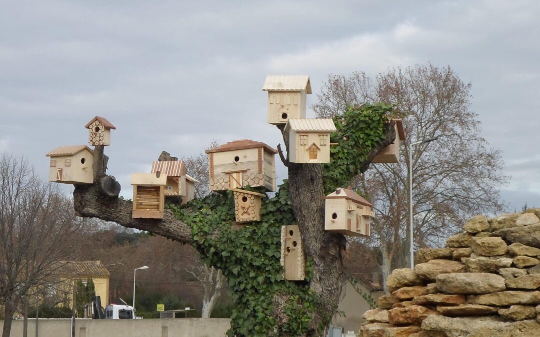 Cabanes à oiseaux